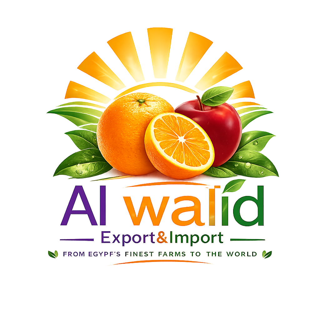 Al Walid Export & Import logo